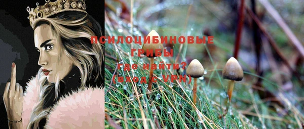 сатива Алексин
