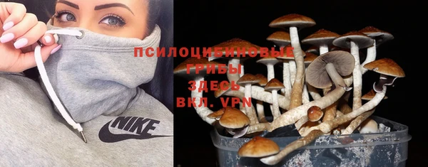 spice Абаза